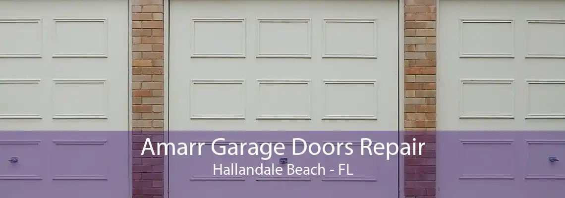 Amarr Garage Doors Repair Hallandale Beach - FL