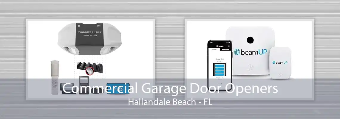 Commercial Garage Door Openers Hallandale Beach - FL