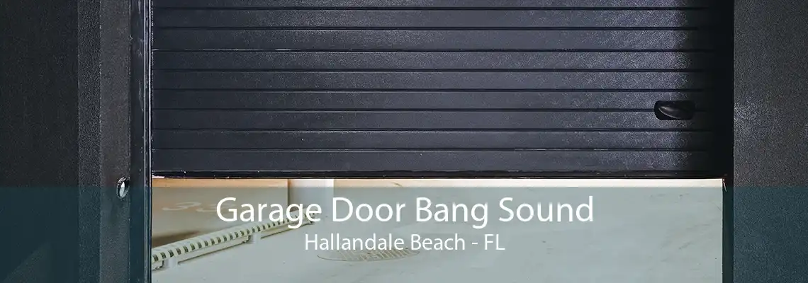 Garage Door Bang Sound Hallandale Beach - FL