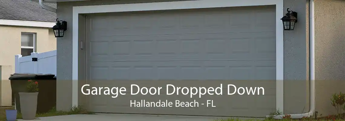 Garage Door Dropped Down Hallandale Beach - FL