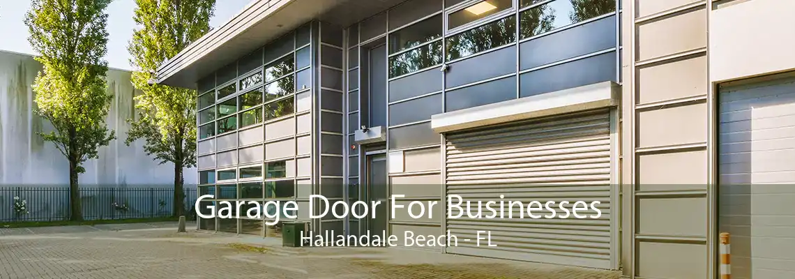 Garage Door For Businesses Hallandale Beach - FL