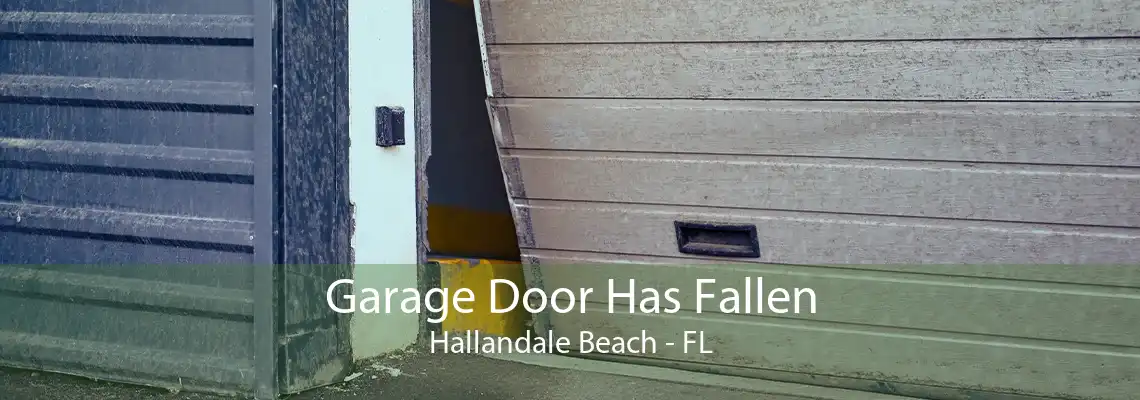 Garage Door Has Fallen Hallandale Beach - FL