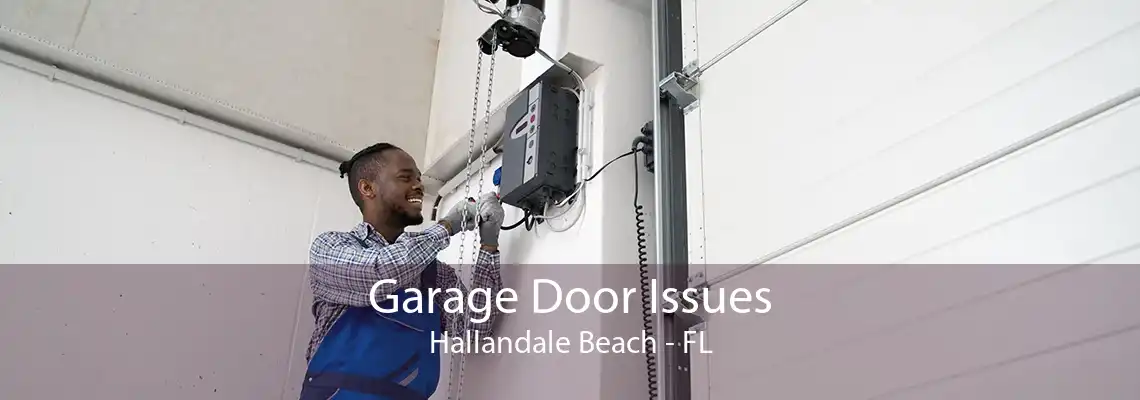 Garage Door Issues Hallandale Beach - FL