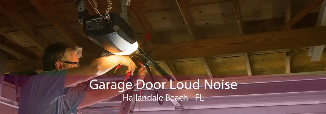 Garage Door Loud Noise Hallandale Beach - FL