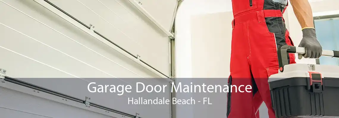 Garage Door Maintenance Hallandale Beach - FL