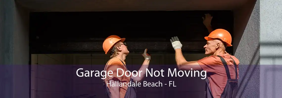 Garage Door Not Moving Hallandale Beach - FL