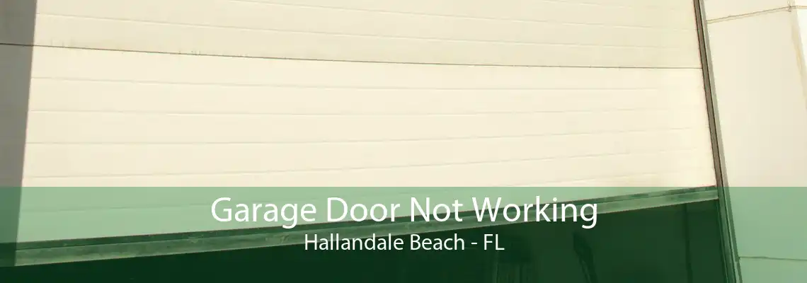 Garage Door Not Working Hallandale Beach - FL