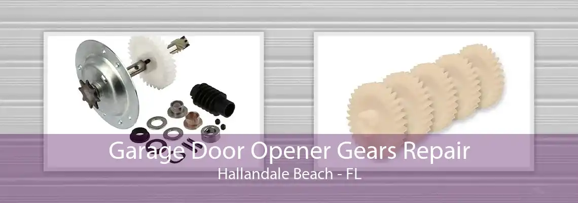 Garage Door Opener Gears Repair Hallandale Beach - FL