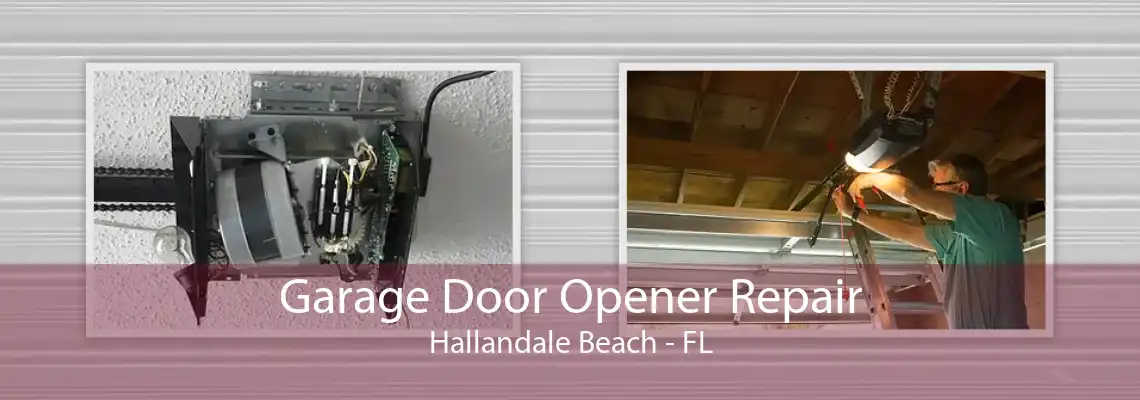 Garage Door Opener Repair Hallandale Beach - FL