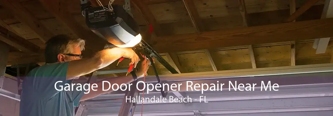 Garage Door Opener Repair Near Me Hallandale Beach - FL