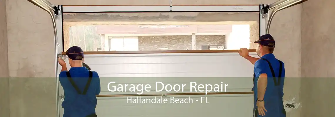 Garage Door Repair Hallandale Beach - FL