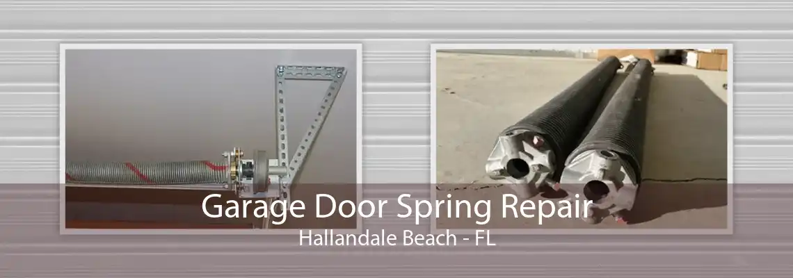 Garage Door Spring Repair Hallandale Beach - FL