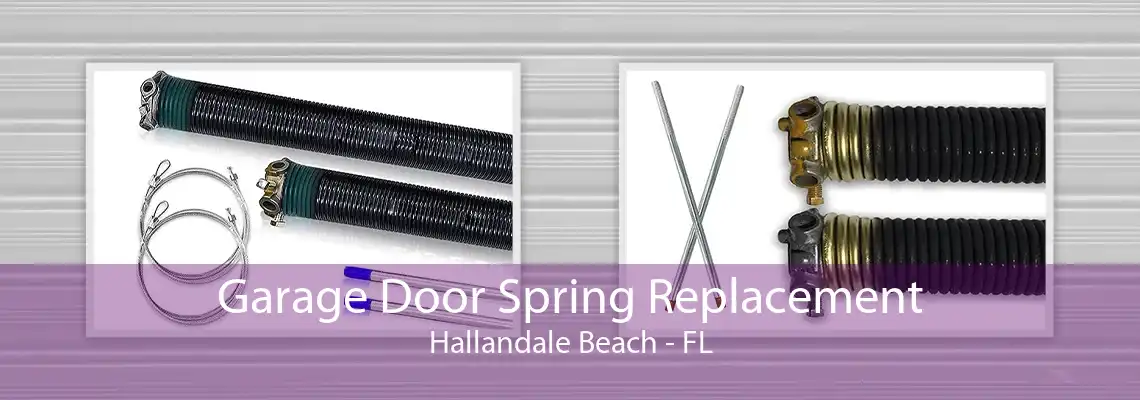 Garage Door Spring Replacement Hallandale Beach - FL