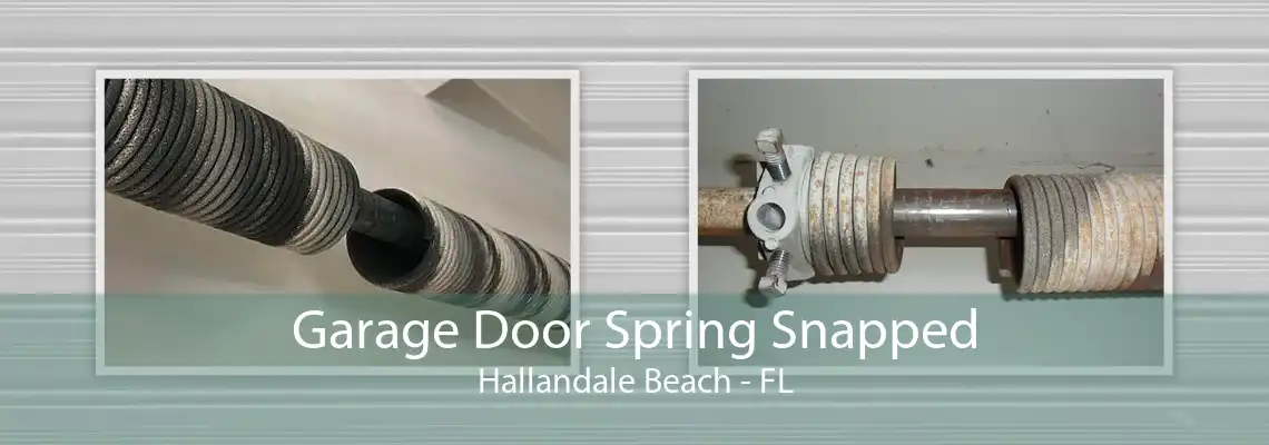 Garage Door Spring Snapped Hallandale Beach - FL