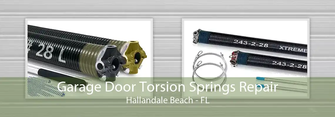 Garage Door Torsion Springs Repair Hallandale Beach - FL