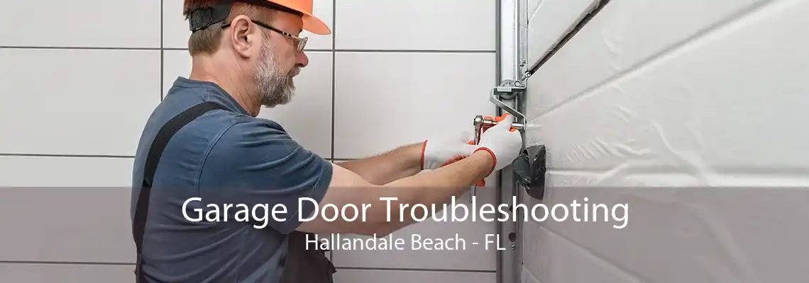 Garage Door Troubleshooting Hallandale Beach - FL