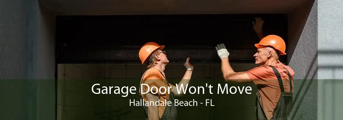 Garage Door Won't Move Hallandale Beach - FL