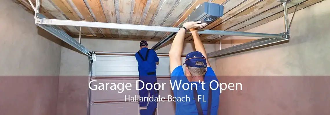 Garage Door Won't Open Hallandale Beach - FL