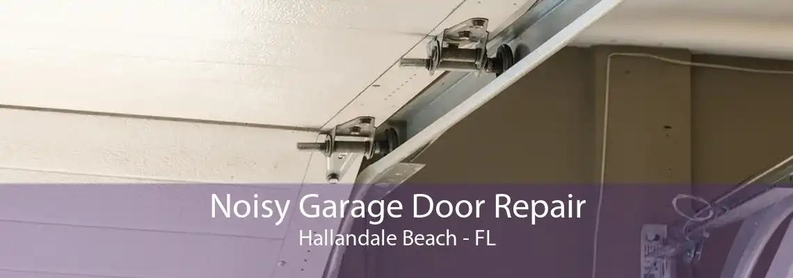 Noisy Garage Door Repair Hallandale Beach - FL