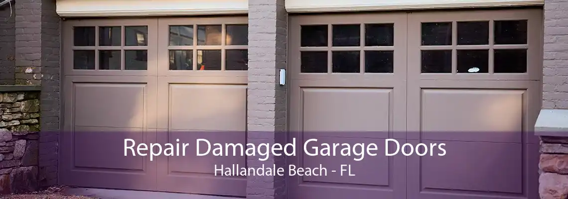 Repair Damaged Garage Doors Hallandale Beach - FL