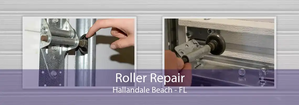 Roller Repair Hallandale Beach - FL