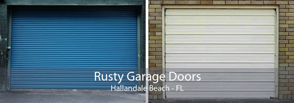 Rusty Garage Doors Hallandale Beach - FL